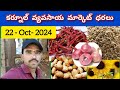 ఈ రోజు మార్కెట్ ధరలు 22.10.2024 | కర్నూల్ మార్కెట్ లో అన్ని రకాల ధరలు Today price in Kurnool Market