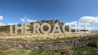 4K | The Roaches