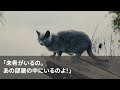 【感動する話】高校生の時、火事の現場で赤ちゃんを助けて頬に火傷を負った俺。20年後、仕事で訪れた会社の美人社員が俺の火傷の理由を知り「後でこの住所に来て」と…向かった先はあの火災現場だった【朗読】