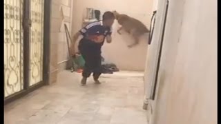 مشهد جد مرعب فهد يطارد رجل.. Very terrifying scene animal hunts man