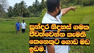 ලාබෙට ඉඩමක් විකිණීමට ලක්ෂ 45 ගොඩ මඩ අක්කර දෙක | Beautiful freehold village land for sale cheap