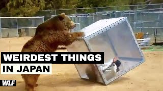 WEIRDEST Things Only Exist In JAPAN!