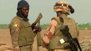 Insurgency in Sahel region could engulf West Africa says Ghana