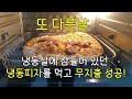 신혼부부 💰가계부 브이로그 무지출 3일성공 햄버거🍔할인받기 아울렛쇼핑👜 일용직일상 절약브이로그 짠순이 무지출챌린지 집밥🥘 일상vlog 백수일상