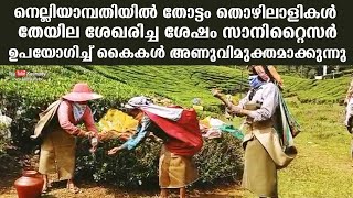 Plantation workers in Nelliyampathy cleansing hands with sanitizer after collecting tea leaves