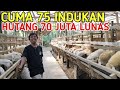 CUMA 75 INDUKAN BISA LUNASI HUTANG 70 JUTA