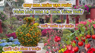 VAN PHUC SPRING FLOWER MARKET: ENCOUNTERING UNIQUE AND UNSEEN FLOWERS NEVER SEEN BEFORE