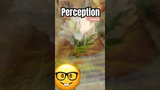 What is Perception? Perception Explained Definition #perception