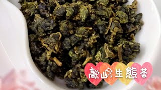 生態茶《示範》簡單沖泡台灣高山茶的方法，可用馬克杯、大茶壺照比例沖泡桂香四季春、翠玉烏龍茶。