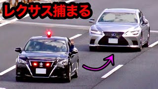 『レクサス LS』が覆面パトカーに捕まる‼️【パトカーに続け】[警察 取締り 高速道路]