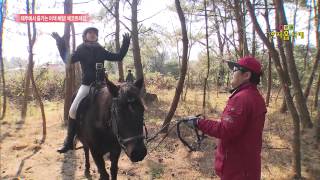 제주승마 jeju horse riding  trekking