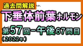 【過去問解説：第57回国家試験-午後67問目】下垂体前葉ホルモン【理学療法士・作業療法士】