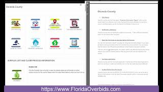 Osceola County FL: Locate the Documents (Tax Deed Auctions and Excess Proceeds)