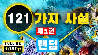 당신을 놀라게 할 121가지 랜덤한 사실 – 놀라운 사실  1부