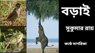 ⭐বড়াই (Borai)⭐ সুকুমার রায় ⭐ বাংলা কবিতা আবৃত্তি ⭐ কন্ঠে সাগরিকা ।