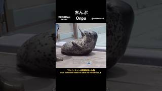 おんぷ Onpu 男鹿水族館GAO