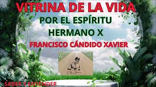 Audiolibro - VITRINA DE LA VIDA 2ª. Parte - POR EL ESPÍRITU: HERMANO X CHICO XAVIER #audiolibro