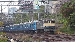 9774レ EF65-2067 新鶴見機関区 東京臨海高速鉄道 りんかい線 71-000形 Z11編成 甲種 輸送 J-TREC 新津出場 山手貨物線 山手線 原宿〜渋谷 2024/11/21