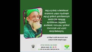 പ്രമുഖ സൂഫിവര്യൻ കല്ലാച്ചി ഉസ്താദിനെ സിംസാറുൽ ഹഖ് ഹുദവി ഉസ്താദ് അനുസ്മരിക്കുന്നു.