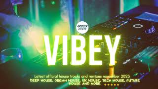 Vibey Deep House Mix (November 2023)