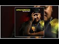 Spawnbreezie - Promises (Audio)