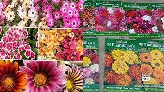 Winter flower seeds with name/सर्दियों के फूलों के बीज और उनके नाम