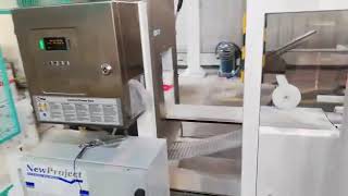 New Project - Italy P42 medium capacity packing machine for flour and sugar preformed paper bags