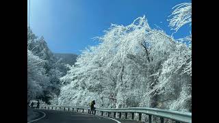 2023.1.25 思源啞口 霧淞 雪景 武陵農場 宜蘭 南山村 春節第一波寒流