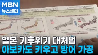 [기후위기③] 일본도 오징어 '급감', 난류 어종 방어는 늘었다 [뉴스센터]