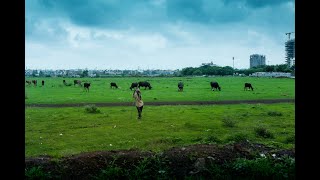 Can agriculture become the engine of growth? क्या कृषि विकास का इंजन बन सकती है?