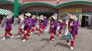 さのよいファイヤーカーニバル2013　ふくこい踊り隊