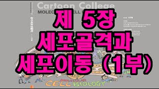 5장 세포골격과 세포이동 1부