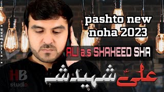 21 Ramazan Noha 2023 | Shahadat Hazrat Imam Ali a.s | Ali a.s Shaheed Sha | Zakir Mehnat Ali 2023