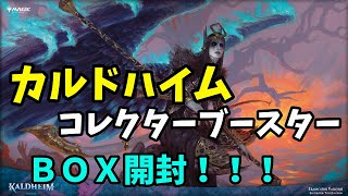 【MTG】カルドハイム コレクターブースターＢＯＸ開封！