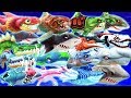 ALL 17 SKINS (SHARKJIRA) (HUNGRY SHARK EVOLUTION)