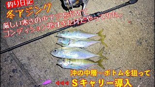 【冬アジング】寒波到来、アジを目当てにデイから深夜まで釣りに行ってきた！