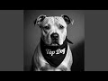 TOP DOGG