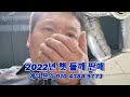 2022년 전라북도 정읍 국산 햇들깨 판매합니다