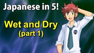 Japanese Wet and Dry - Japanese in 5! #24 Part 1