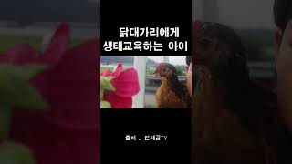 시골 소년과 닭의 대화#shorts