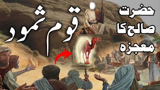 qaum e samood ka anjam|prophet saleh and qaum e samood|