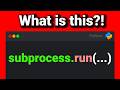 How to Run Multiple Python Scripts in One File Using `subprocess.run`