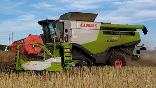 Žatva 2019 | 2x Claas Lexion 760 Terra Trac