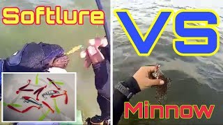 Tanding Umpan, Soft lure VS Minnow, Ternyata Juaranya adalah ...