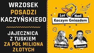 ZAMACH STANU ZAWIESZONY. WRZOSEK POSADZI KACZYŃSKIEGO! JAJECZNICA Z TUSKIEM ZA PÓŁ MILIONA ZŁOTYCH.