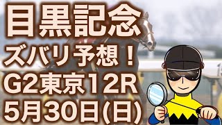 【投資競馬塾】目黒記念・ハンデ戦・東京12R★ズバリ予想！★令和3年5月30日（日）