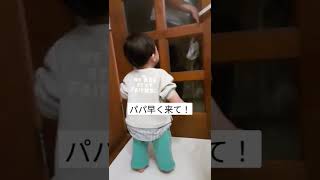 【パパおかえり】休み明けの月曜はパパが恋しくて特に泣いてしまうパパっ子赤ちゃん#baby#shorts #お父さん子