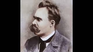 The Nietzschean Self