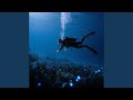Midnight Dive