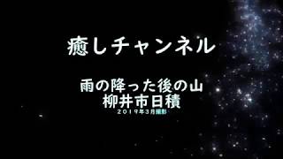 癒しチャンネル　雨と山　柳井市日積地区